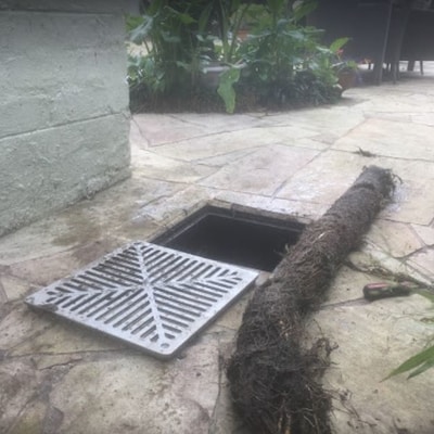 blocked drains dandenong