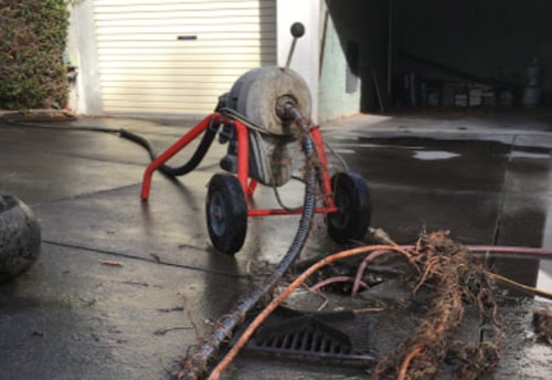 Tree root removal Drains